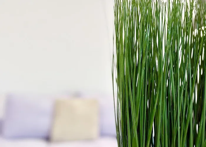 Red Square Residence Varna